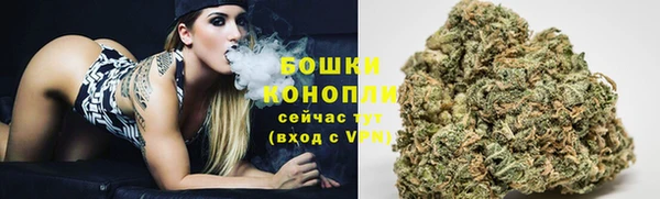 PSILOCYBIN Богородицк