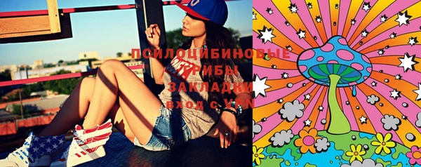 PSILOCYBIN Богородицк