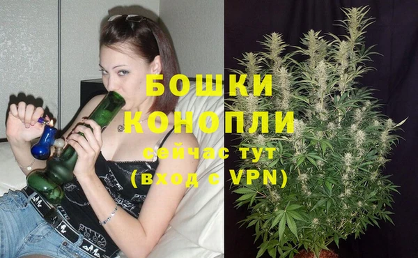 спайс Беломорск