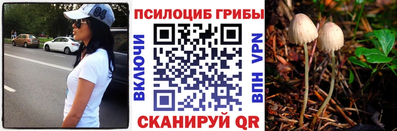 где можно купить   это какой сайт  Псилоцибиновые грибы Magic Shrooms  Валдай 